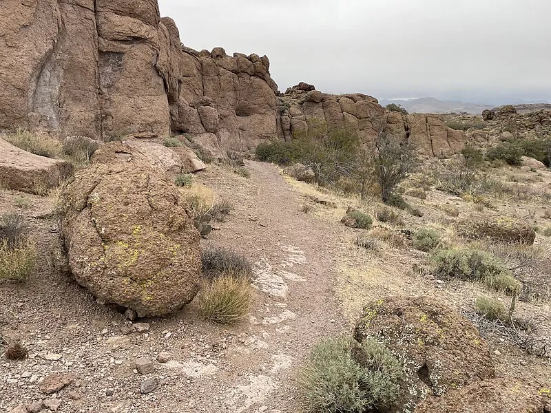 Monolith Gardens Th - Coyote Pass Trailhead, Mohave