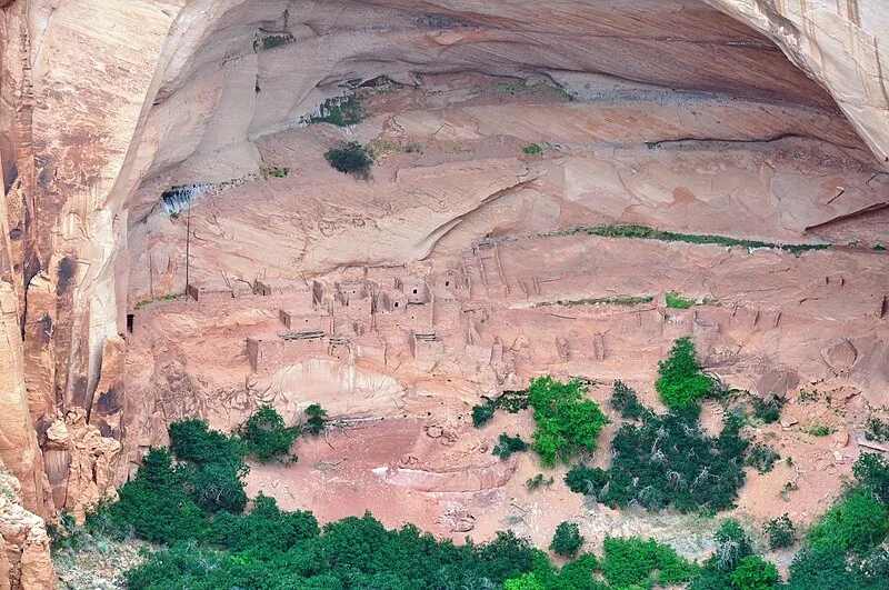 Picnic Area, Navajo National Monument