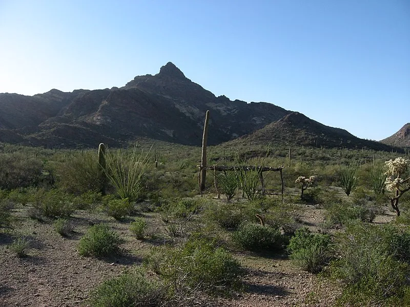 Baker-milton Trail, Organ Pipe Cactus NM