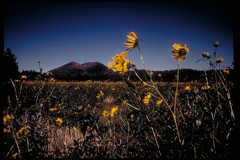Sunset Crater Volcano National Monument, AZ