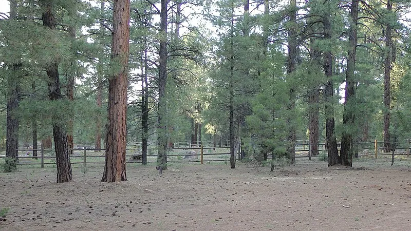 Mckee Amphitheater, Grand Canyon National Park