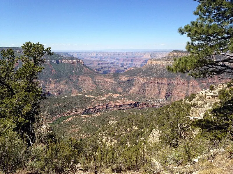 Trailhead (NW, 4mi), Coconino