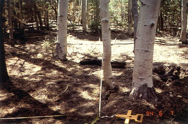 North Rim Campground Laundry and Showers, Grand Canyon National Park