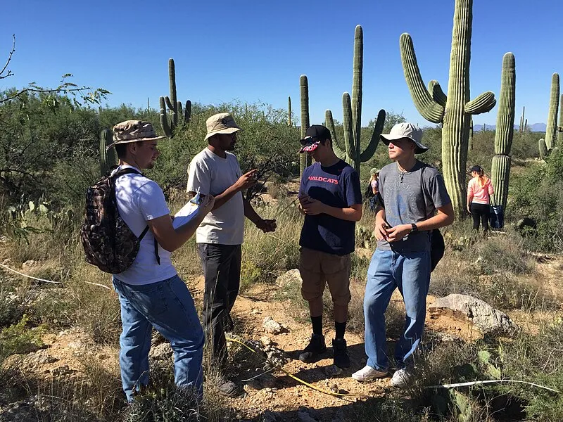 Douglas Spring Trailhead, Saguaro National Park