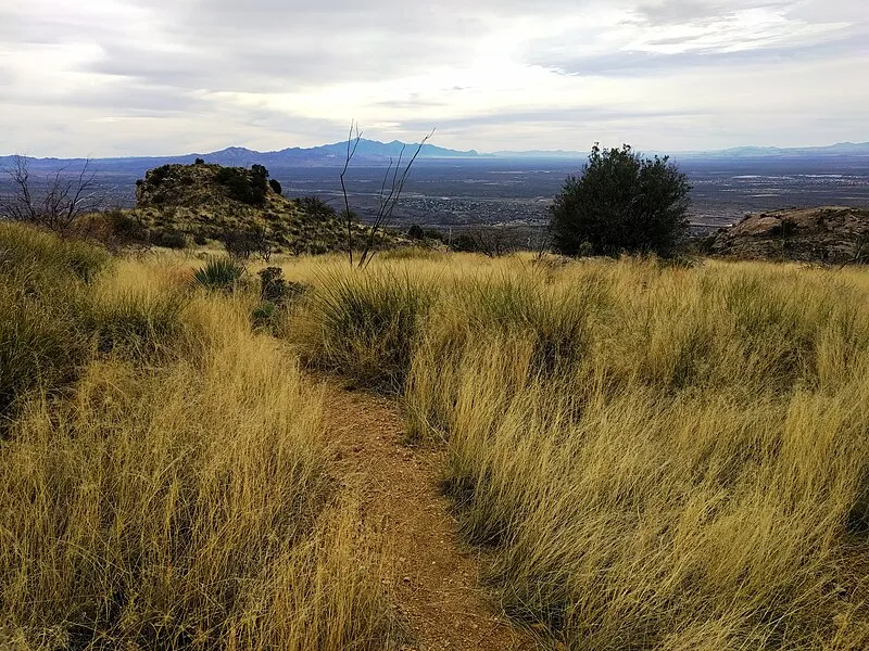 Ridge View Trail (N, 0mi), Saguaro National Park