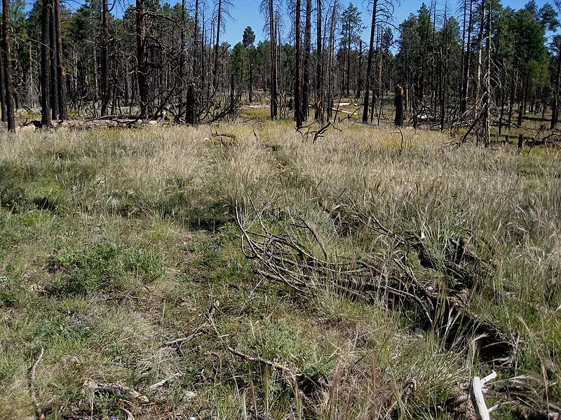 Ariel Point Trail, Grand Canyon National Park
