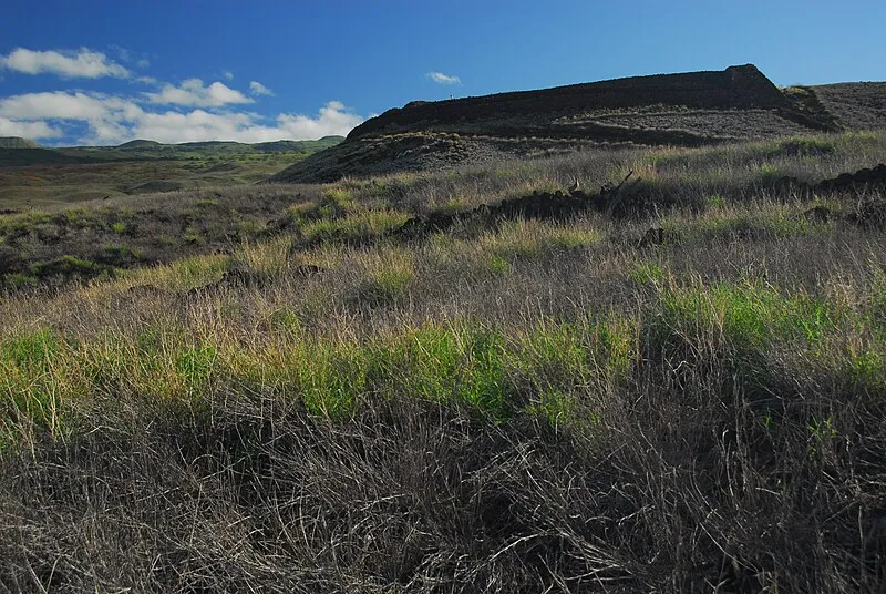 Hale O Kapuni Heiau, Puʻukoholā Heiau NHS