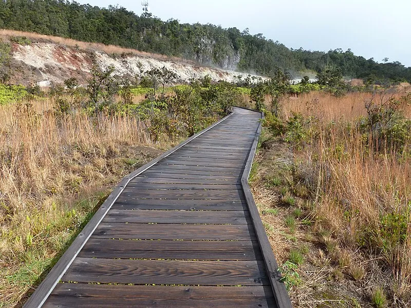 Fuel Break Trail, Hawaiʻi Volcanoes NP