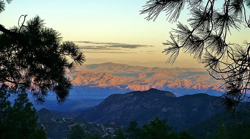 Muleshoe Ranch Cooperative Management Area, Mohave