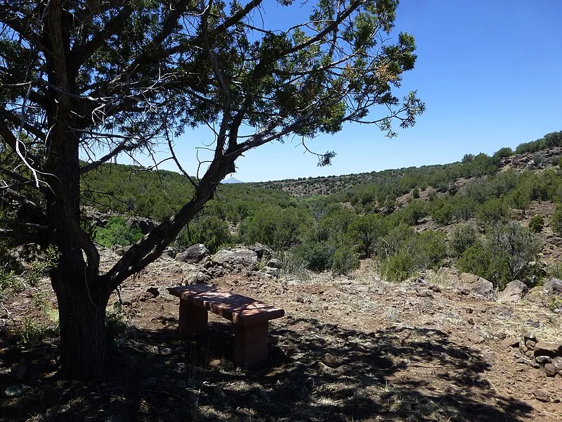 Ash Fork Hill Mtn. Bike Trail, Coconino